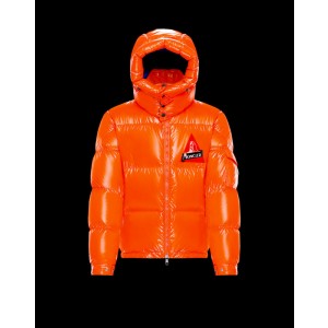 2019-2020 MONCLER WILSON Men Down Jackets (m2020-029)